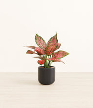 Load image into Gallery viewer, Stone Black*****Profile