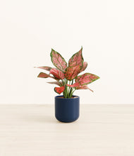 Load image into Gallery viewer, Twilight Blue*****Profile