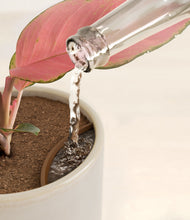 Load image into Gallery viewer, Snowdrift White stand:all