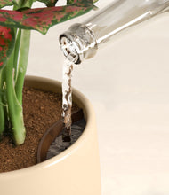 Load image into Gallery viewer, Buttercream stand:all