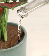 Load image into Gallery viewer, Cherished Duo