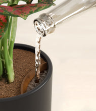 Load image into Gallery viewer, Orca stand:all