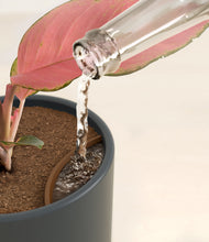 Load image into Gallery viewer, Iron Gray stand:all