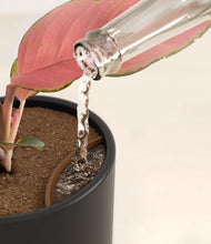 Load image into Gallery viewer, Stone Black stand:all