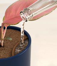 Load image into Gallery viewer, Twilight Blue stand:all