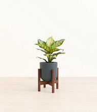 Lade das Bild in den Galerie-Viewer, Iron Gray stand:dark