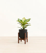 Lade das Bild in den Galerie-Viewer, Stone Black stand:dark