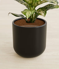 Charger l'image dans la galerie, Stone Black stand:all