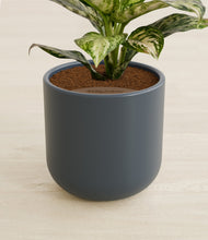 Charger l'image dans la galerie, Iron Gray stand:all