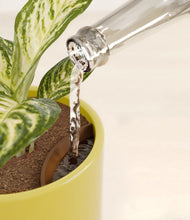 Charger l'image dans la galerie, Key Lime Yellow stand:all