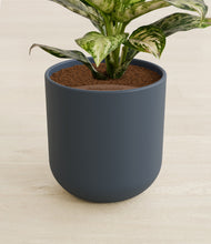 Lade das Bild in den Galerie-Viewer, Iron Gray stand:all