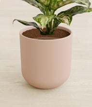 Lade das Bild in den Galerie-Viewer, Sandy Pink stand:all