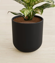 Lade das Bild in den Galerie-Viewer, Stone Black stand:all