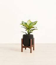 Lade das Bild in den Galerie-Viewer, Black stand:dark