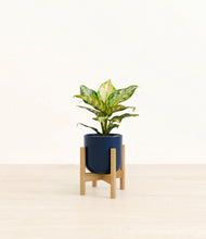 Charger l'image dans la galerie, Twilight Blue stand:light