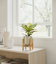 Charger l'image dans la galerie, Sage Green stand:light