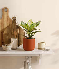 Lade das Bild in den Galerie-Viewer, Earth Red