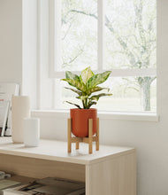 Lade das Bild in den Galerie-Viewer, Earth Red stand:light