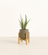 Load image into Gallery viewer, Olive stand:bamboo