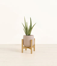 Load image into Gallery viewer, Eternal Gray stand:bamboo