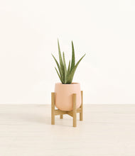 Load image into Gallery viewer, Gentle Pink stand:bamboo