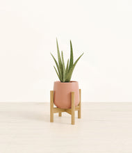 Load image into Gallery viewer, Calm Rose stand:bamboo