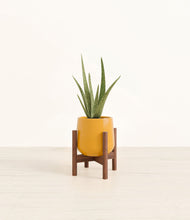 Load image into Gallery viewer, Mustard stand:walnut