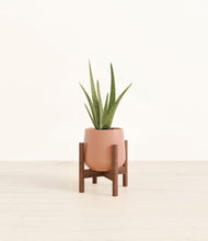 Load image into Gallery viewer, Calm Rose stand:walnut