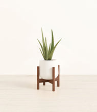 Load image into Gallery viewer, White stand:walnut