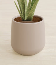 Load image into Gallery viewer, Eternal Gray stand:all