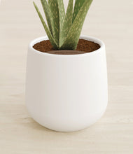 Load image into Gallery viewer, White stand:all