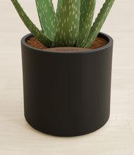 Load image into Gallery viewer, Black stand:all