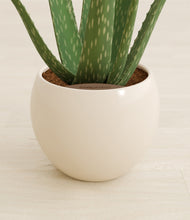 Load image into Gallery viewer, Natural Bamboo stand:all