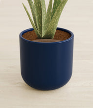 Load image into Gallery viewer, Twilight Blue stand:all