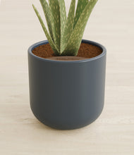 Load image into Gallery viewer, Iron Gray stand:all