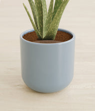 Load image into Gallery viewer, Misty Blue stand:all