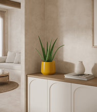 Load image into Gallery viewer, Mustard