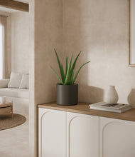 Load image into Gallery viewer, Dark Olive