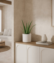 Load image into Gallery viewer, White