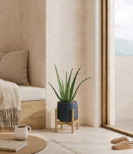 Load image into Gallery viewer, Deep Navy stand:bamboo