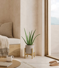 Load image into Gallery viewer, Eternal Gray stand:bamboo