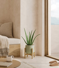 Load image into Gallery viewer, Turquoise stand:bamboo