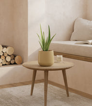 Load image into Gallery viewer, Almond Green