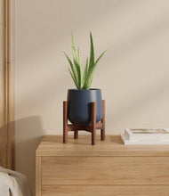 Load image into Gallery viewer, Deep Navy stand:walnut