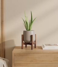 Load image into Gallery viewer, Eternal Gray stand:walnut