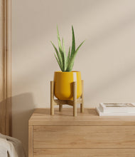 Load image into Gallery viewer, Mustard stand:bamboo