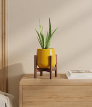 Load image into Gallery viewer, Mustard stand:walnut