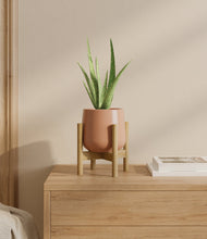 Load image into Gallery viewer, Calm Rose stand:bamboo