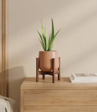 Load image into Gallery viewer, Calm Rose stand:walnut