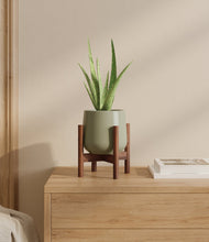 Load image into Gallery viewer, Turquoise stand:walnut